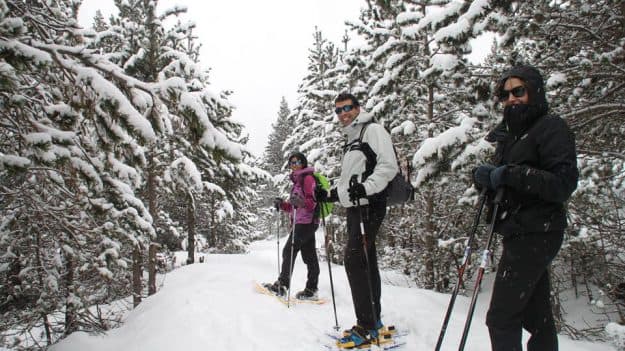 Actividades de Invierno